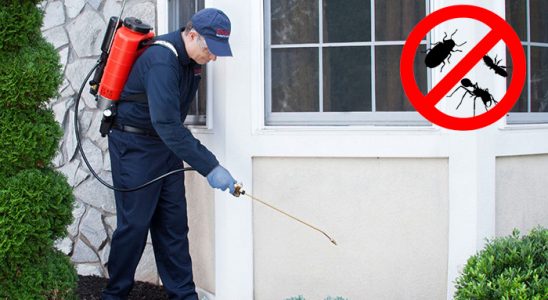 Çan Kene İlaçlama böcek ilaçlama ve haşere kontrolü — ilaclama-tr.com